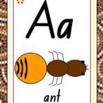 Aboriginal ABC Chart Flash Cards Letter Tracing Abc Chart Alphabet