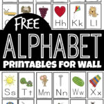 FREE FREE Alphabet Flashcards And Printables For Wall