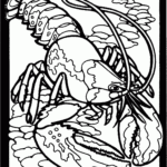 Lobster Coloring Pages NEO Coloring