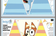 Pin By Maria Alejandra Vera De Torres On Bluey Bday Kids Birthday