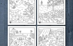 Printable Summer Hidden Pictures Woo Jr Kids Activities Printable