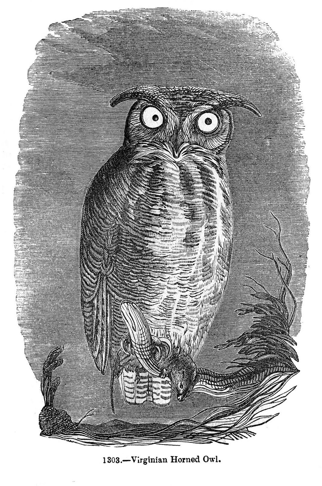 Vintage Halloween Clip Art Spooky Owl The Graphics Fairy