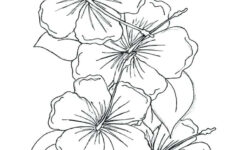 Violet Coloring Pages Best Coloring Pages For Kids