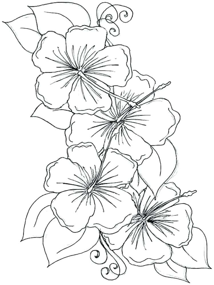 Violet Coloring Pages Best Coloring Pages For Kids