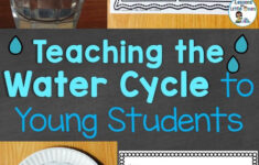 Water Cycle Rain Cycle Science Experiments And Craftivity Lessons