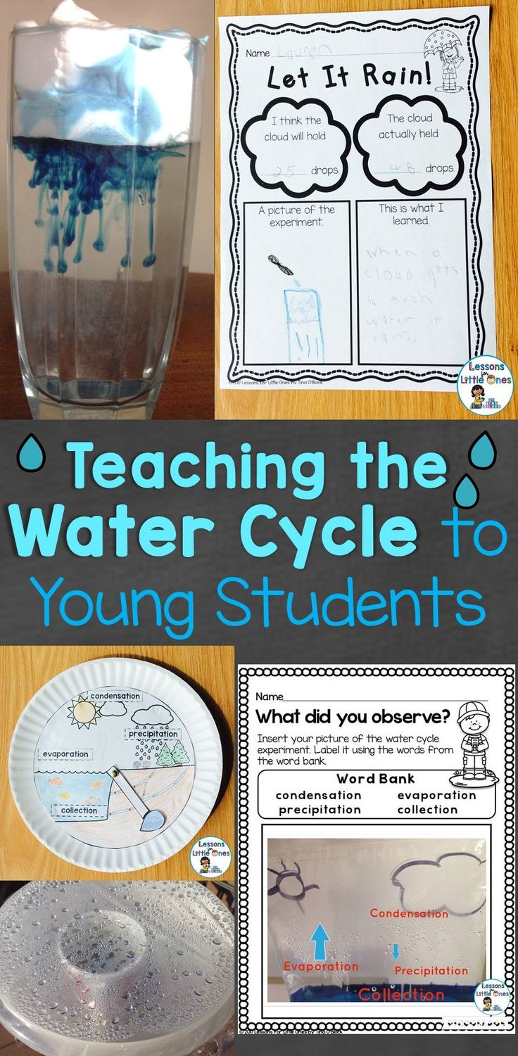 Water Cycle Rain Cycle Science Experiments And Craftivity Lessons 